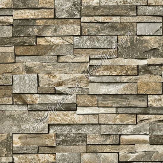 TERRA TRA492
Wallpaper